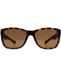 Lacoste - Square Havana Polarized L662Sp - Lyst