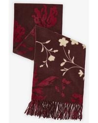 Penti - Floral Scarf - Lyst
