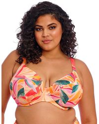 Elomi - 802502 Sancho Beach Plunge Bikini Top - Lyst