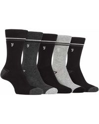 Farah - 5 Pack Bamboo Bright Striped Patterned Socks - Lyst