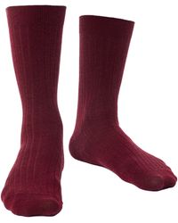 Steve Madden - Merino Wool Socks With Loose Soft Top For Swollen Feet -Burgundy - Lyst