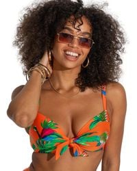 Pour Moi - Paradiso Padded Front Tie Bikini Top - Lyst