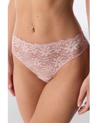 Penti - Lace Thong - Lyst