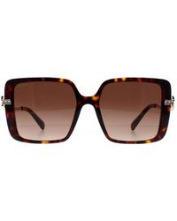 BVLGARI - Square Havana Gradient Bv8243B - Lyst