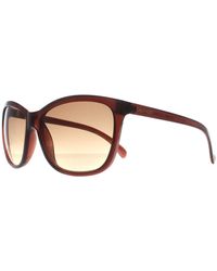 Calvin Klein - Cat Eye Milky Gradient Ck19565S - Lyst
