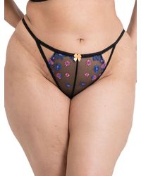 Curvy Kate - Strawberry Crush Brazilian - Lyst