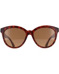 Serengeti - Cat Eye Matte Classic Tortoise Saturn Polarized Drivers Endee - Lyst