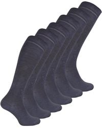 Sock Snob - 6 Pair Ladies Long Bamboo Socks - Lyst
