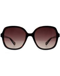Polaroid - Square Havana Gradient Polarized Pld 4177/S/X - Lyst