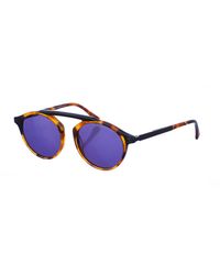 Armand Basi - Ab12305 Oval Shape Sunglasses - Lyst