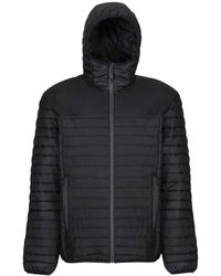 Regatta - Honestly Made Recycled Thermal Padded Jacket - Lyst