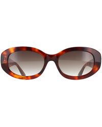 Ted Baker - Oval Gloss Classic Tortoise Gradient Tb1758 Daisie - Lyst