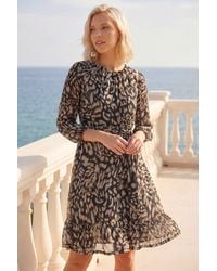 Roman - Petite Frill Hem Dress - Lyst