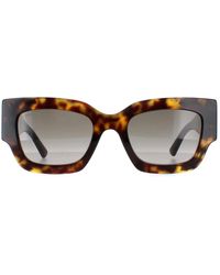 Jimmy Choo - Square Havana And Gradient Nena/S - Lyst