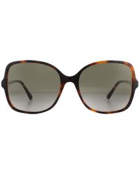 Jimmy Choo - Sunglasses Judy/S 0T4 Ha Havana Gradient - Lyst