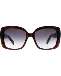 Karen Millen - Butterfly Dark Havana Km5056 - Lyst