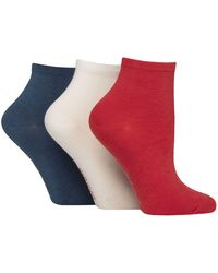 Sock Shop - 3 Pack Ladies Plain Bamboo Anklet Socks - Lyst