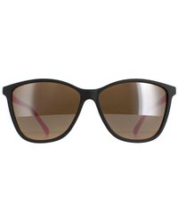 Ted Baker - Square And Tb1443 Perry Sunglasses - Lyst