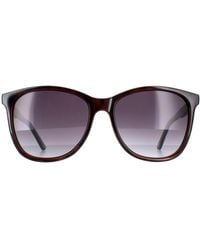 Ted Baker - Oval Tortoiseshell Gradient Tb1496 Alva - Lyst