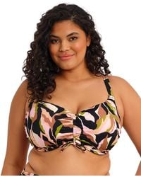 Elomi - Es803406 Ocean Avenue Underwired Bikini Top - Lyst