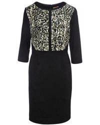 Conquista - Straight Dress With Animal Print Detail - Lyst