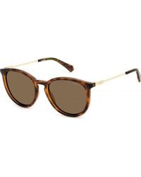 Polaroid - Pld-4143-S-X-086 Pld 4143 S 53 X 086 Sunglasses - Lyst