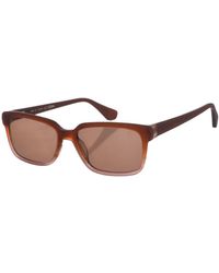 Zen - Z401 Square Shape Acetate Sunglasses - Lyst