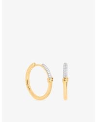 Astrid & Miyu - Pavé Knot-Plated 925 Sterling Hoop Earrings - Lyst