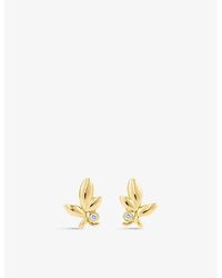 Tiffany & Co. - Olive Leaf Diamond And 18ct Yellow-gold Earrings - Lyst