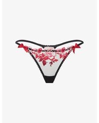 Agent Provocateur - Callypso Floral-Embroidered Mesh Thong - Lyst