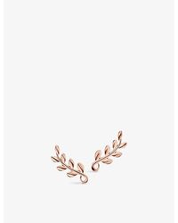 Tiffany & Co. - Paloma Picasso Olive Leaf 18ct Rose-gold Earrings - Lyst