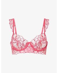 Bluebella - Amarosa Wired Lace Bra - Lyst
