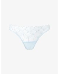 Bluebella - Vermont Embroidered-Lace Sheer Briefs - Lyst