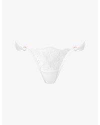 Bluebella - Gabriella Floral-Embroidered Thong - Lyst