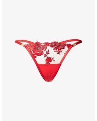 Bluebella - Lavanya Floral-Embroidered Stretch-Mesh Thong - Lyst