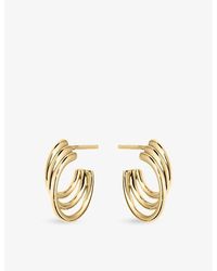 Shaun Leane - Bound Size 3 Hoop Earrings - Lyst