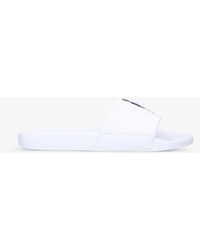 polo bear sliders