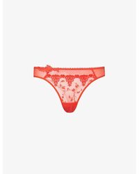 Passionata - White Nights Floral-embroidered Stretch-lace Brief - Lyst
