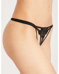 Bluebella - Nova Guipure Lace And Mesh Thong - Lyst
