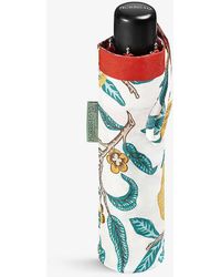 Fulton - X Morris & Co Floral-print Umbrella - Lyst