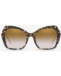Dolce & Gabbana - Dg4399 Butterfly-frame Acetate Sunglasses - Lyst