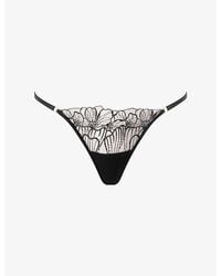 Bluebella - Amarosa Floral-Embroidered Lace Thong - Lyst