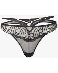 Aubade - L'indomptable Sheer Stretch-lace Thong - Lyst