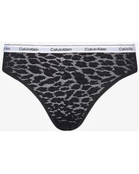 Calvin Klein - Modern Branded-waistband Stretch-lace Briefs - Lyst