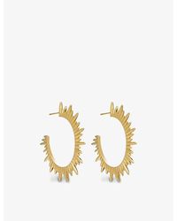 Rachel Jackson - Electric Goddess 22ct Gold-plated Sterling Silver Hoop Earrings - Lyst