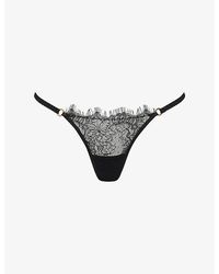 Bluebella - Camelia Lace Thong - Lyst