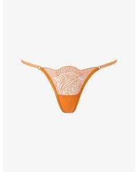 Bluebella - Leliana Sheer String Lace Thong - Lyst