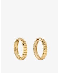 Astley Clarke - Aurora Ridge 18Ct- Plated Sterling- Hoop Earrings - Lyst