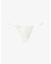 Bluebella - Leonora Floral-Embroidered Lace Thong - Lyst