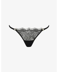 Bluebella - Camelia Lace Briefs - Lyst